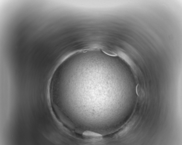 X0000089461055200706221302