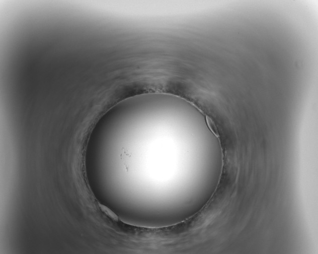 X0000089461057200706221301
