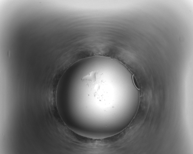 X0000089461058200706221301