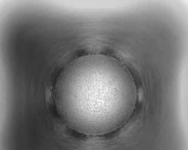 X0000089461059200706221301