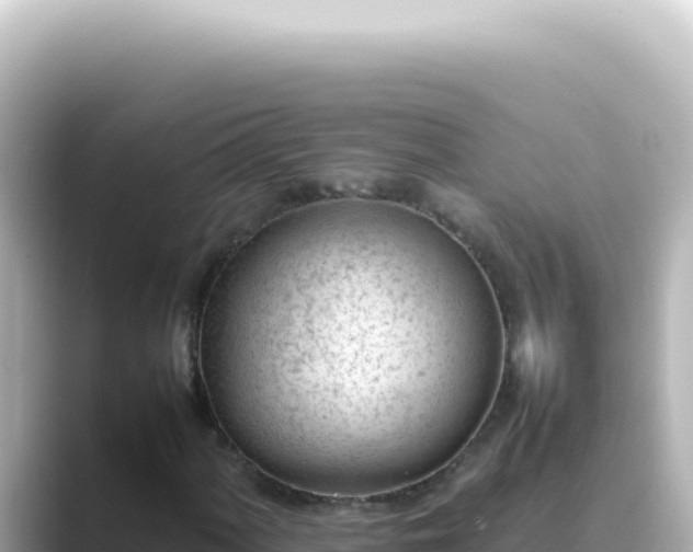 X0000089461060200706221301