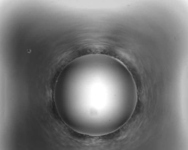 X0000089461061200706221301