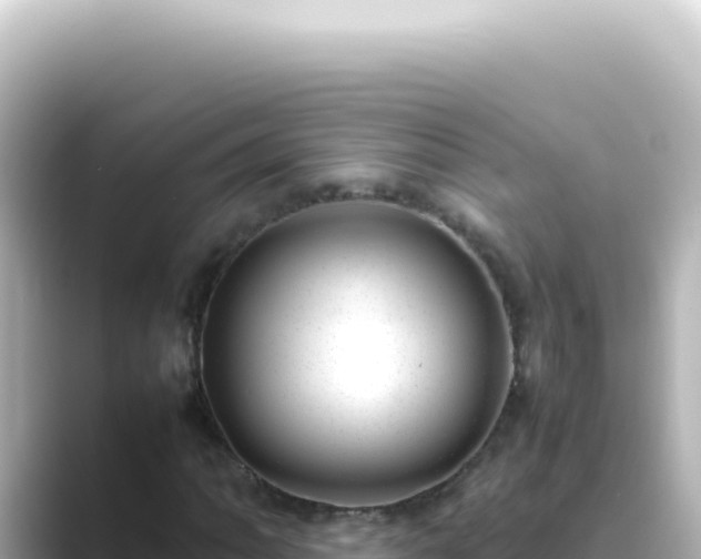 X0000089461062200706221301