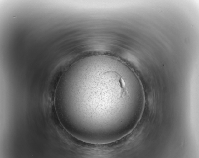 X0000089461064200706221301