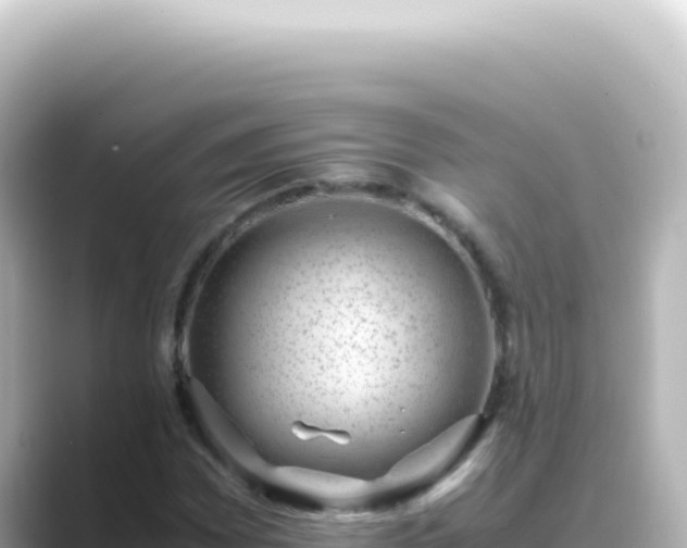 X0000089461065200706221301