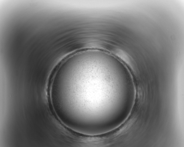X0000089461068200706221301