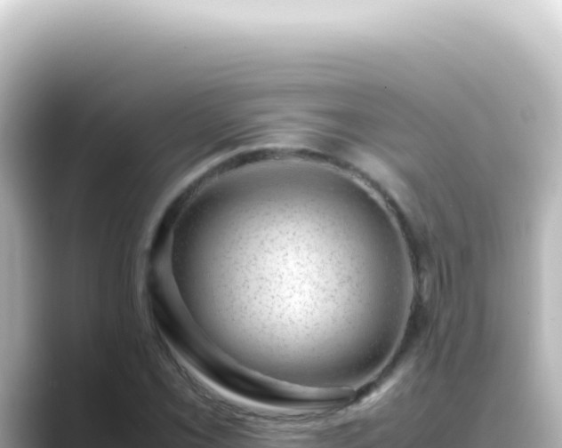 X0000089461069200706221301