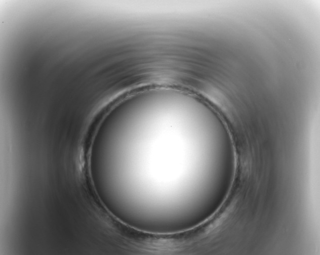 X0000089461070200706221301