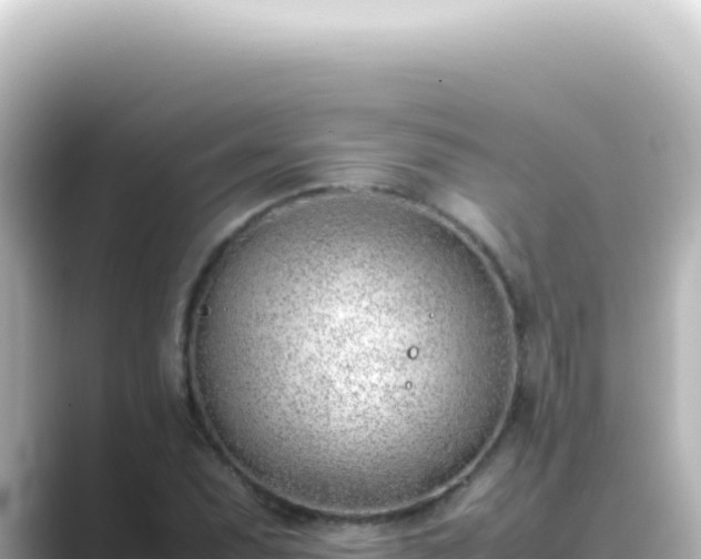 X0000089461071200706221301