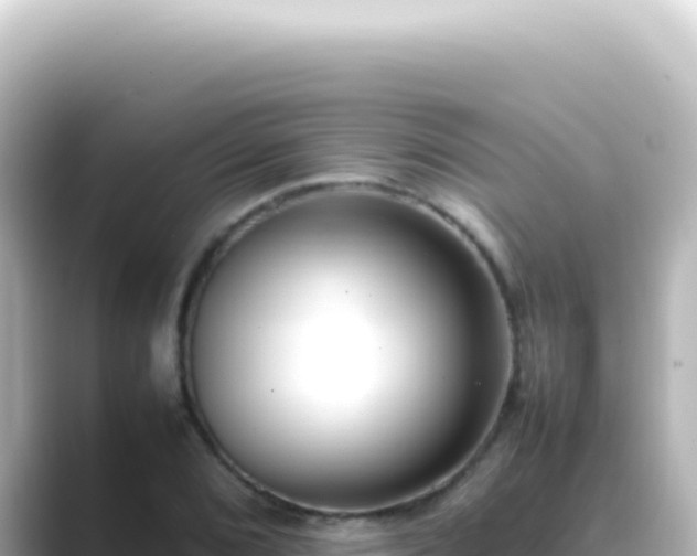 X0000089461072200706221301