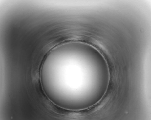 X0000089461073200706221301