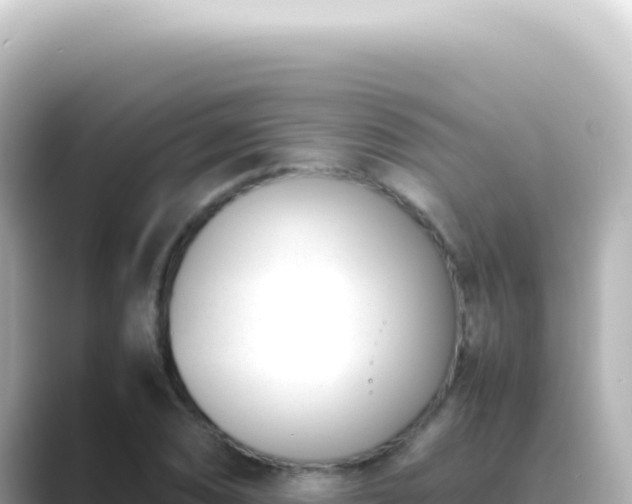 X0000089461074200706221301