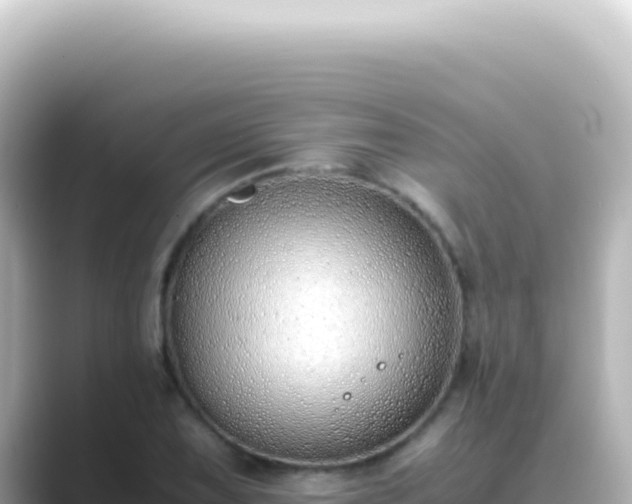X0000089461075200706221301