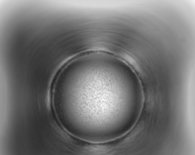 X0000089461076200706221301
