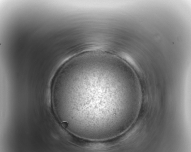 X0000089461079200706221301