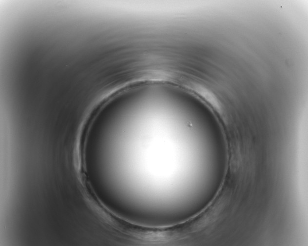 X0000089461080200706221301