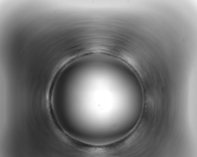 X0000089461082200706221301