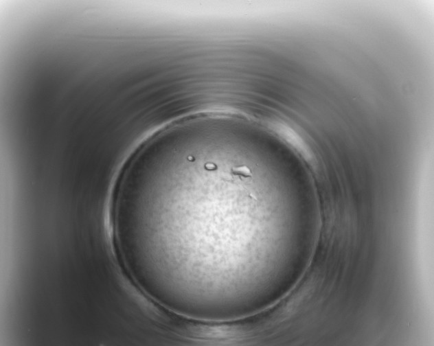 X0000089461084200706221301