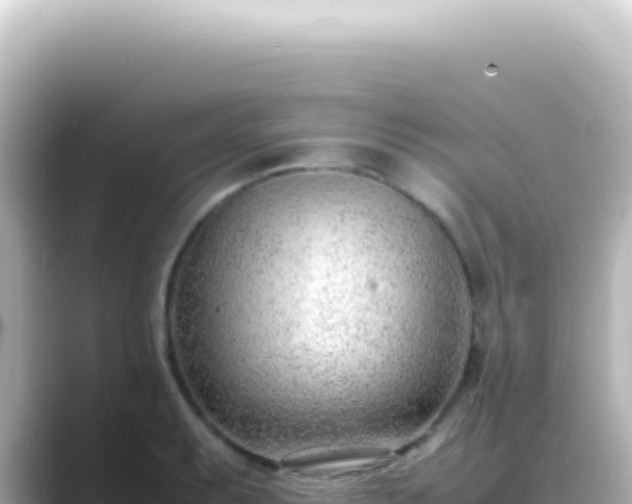 X0000089461087200706221301