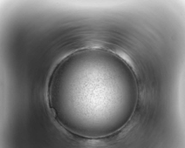 X0000089461088200706221301