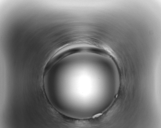 X0000089461089200706221301