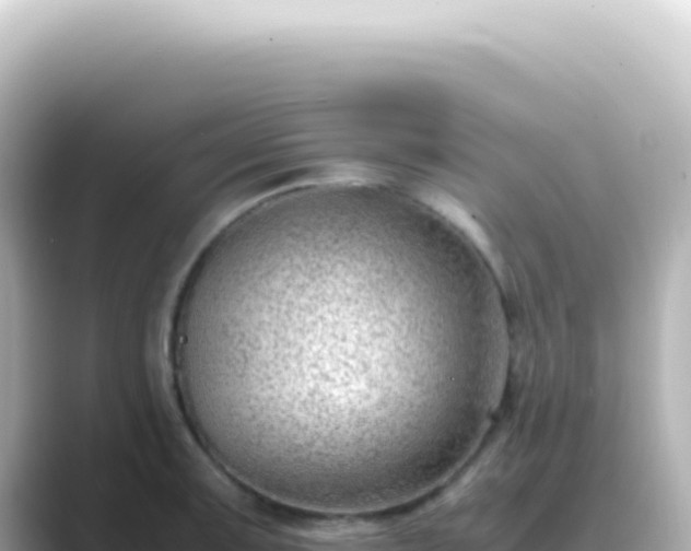 X0000089461091200706221301