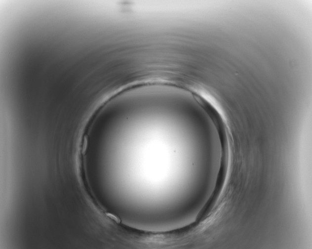 X0000089461093200706221301