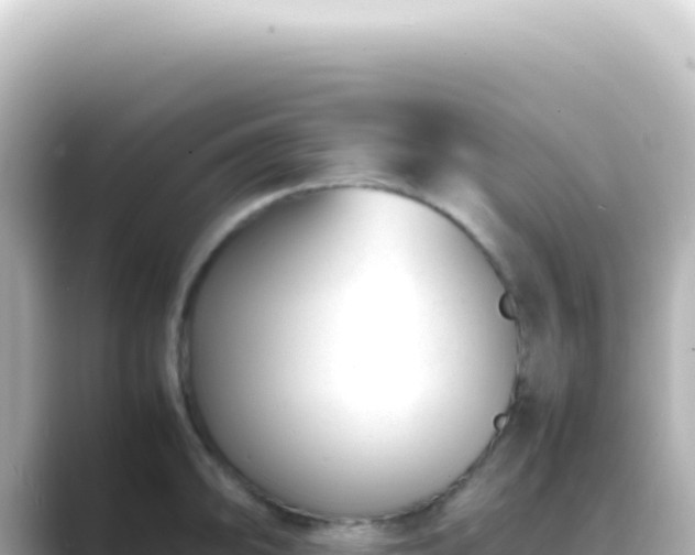 X0000089461094200706221301