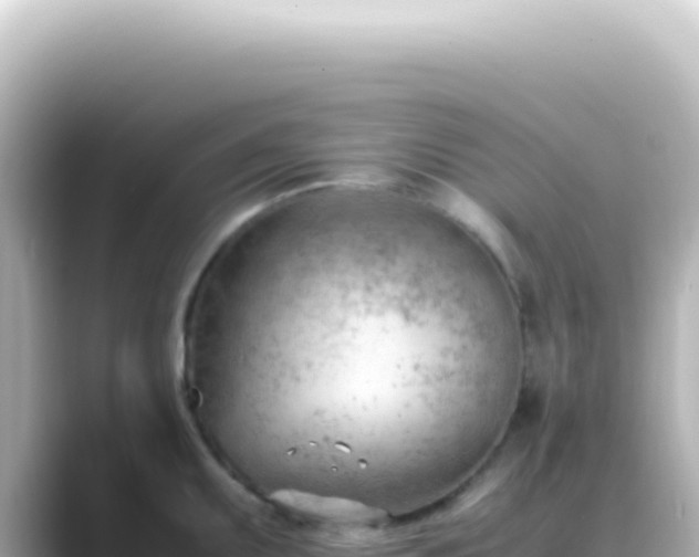 X0000089461095200706221301