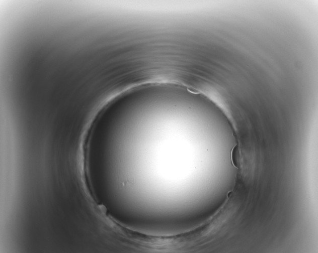 X0000089461096200706221301