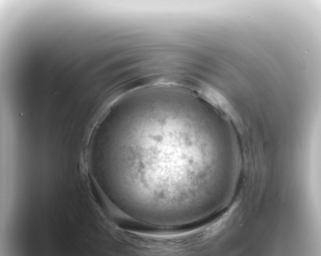 X0000089461097200706221301