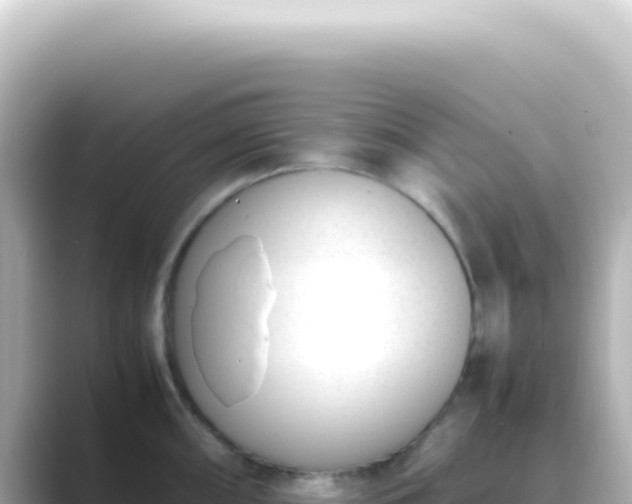 X0000089461098200706221301