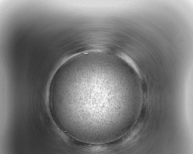 X0000089461099200706221301