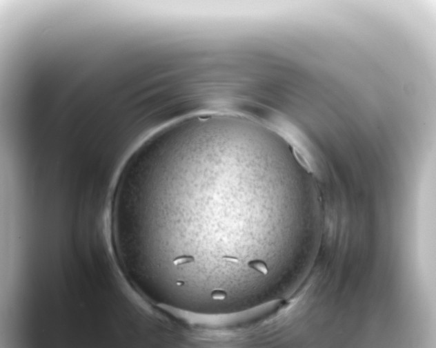 X0000089461100200706221301