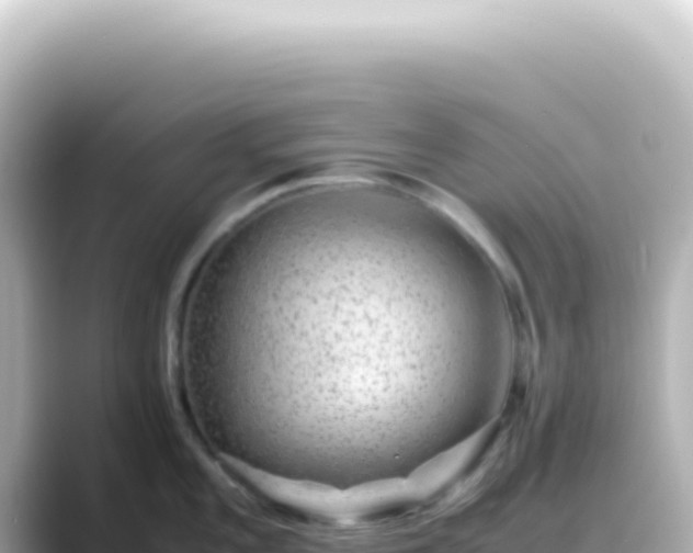 X0000089461101200706221301