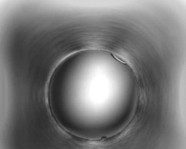 X0000089461102200706221301