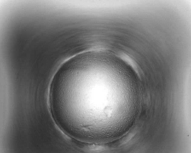 X0000089461103200706221300