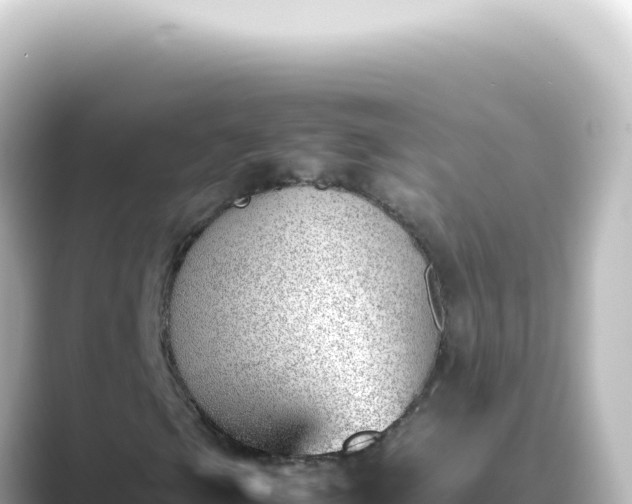 X0000089461105200706221300