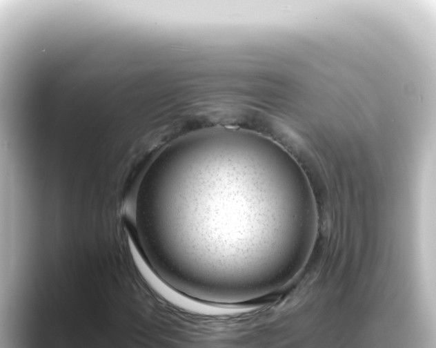X0000089461108200706221300