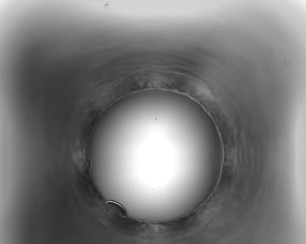 X0000089461109200706221300