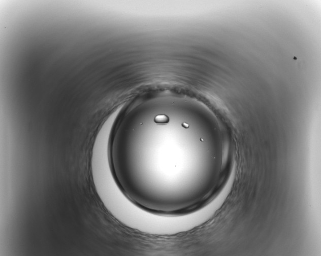 X0000089461110200706221300