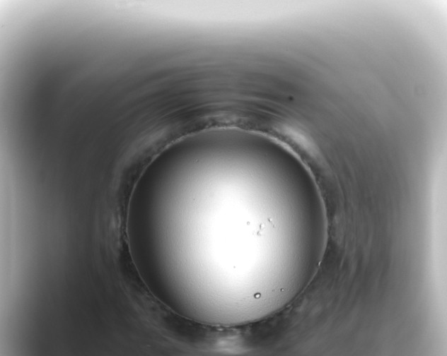 X0000089461111200706221300
