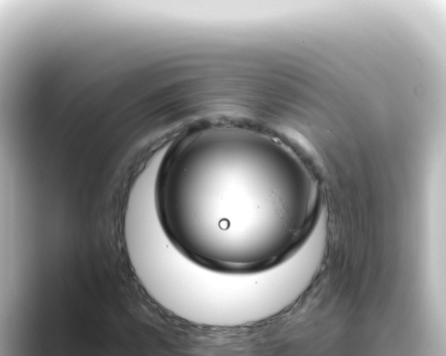 X0000089461112200706221300
