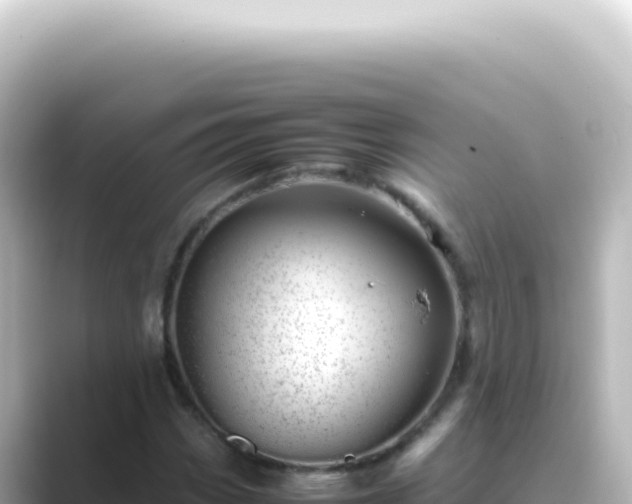 X0000089461113200706221300
