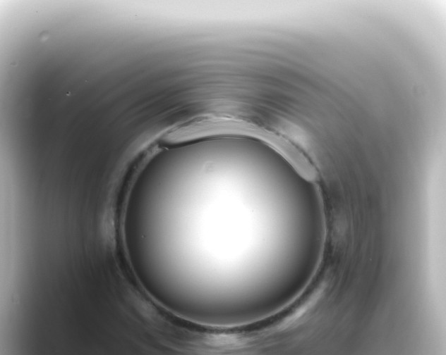 X0000089461114200706221300