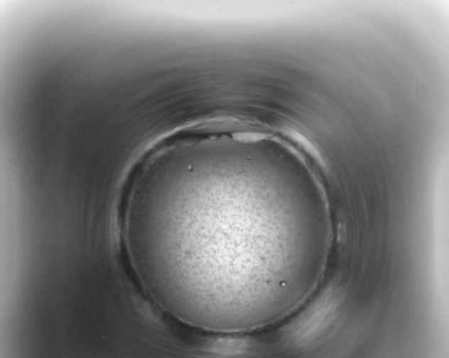 X0000089461117200706221300