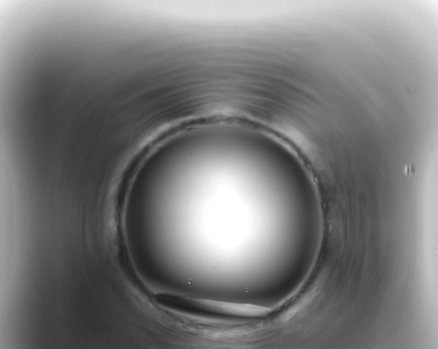 X0000089461118200706221300