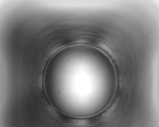 X0000089461121200706221300