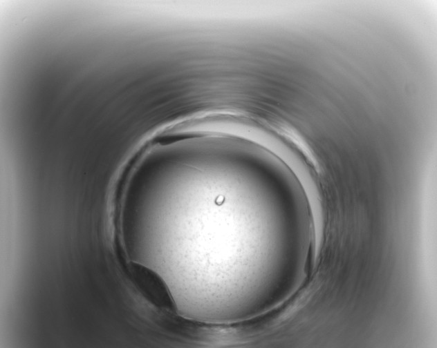 X0000089461124200706221300