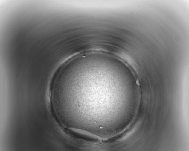 X0000089461125200706221300